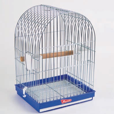 argos parrot cage